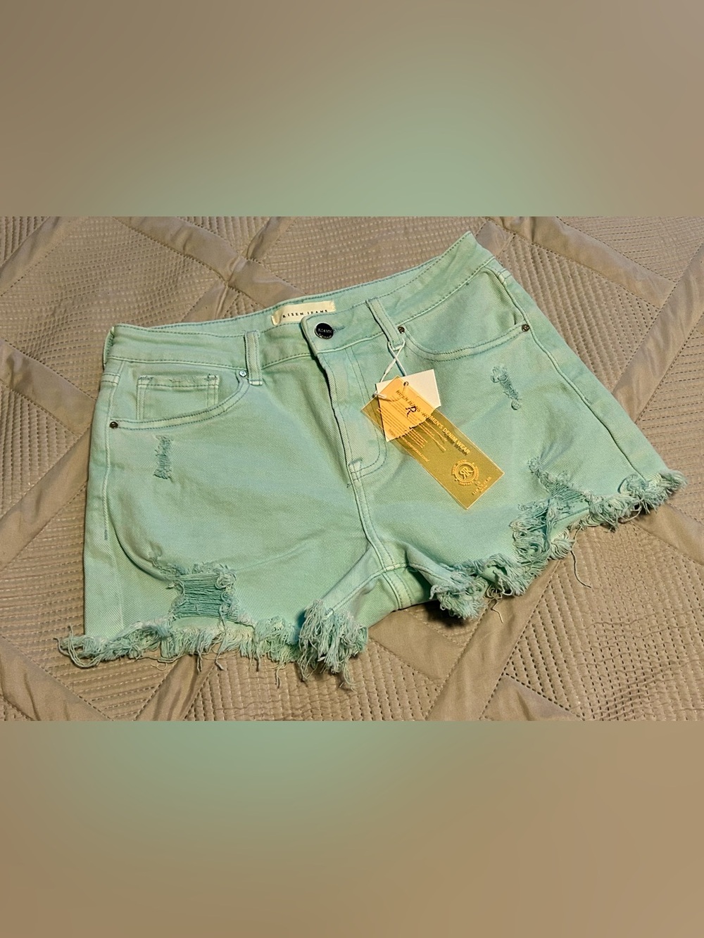 NWT Risen Jeans Mint Green Distressed Denim Shorts Size M